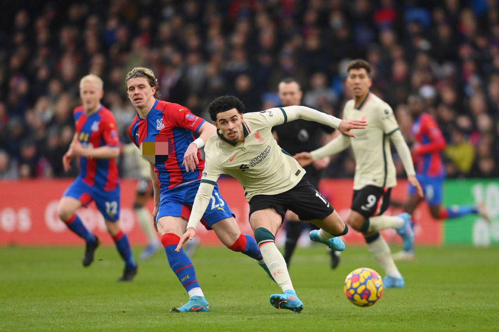 季的球隊表 季的球隊表